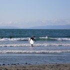 Surfing Linda Mar 080609