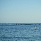 Surfing Canoes 122309