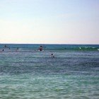Surfing Waikiki 121409