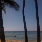 Surfing Waikiki 121109