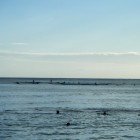 Surfing Canoes 050710