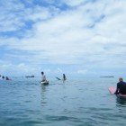 Surfing Waikiki 082011