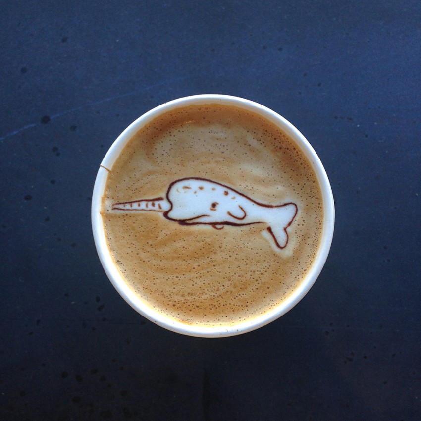 Narwhal by Mel this morning